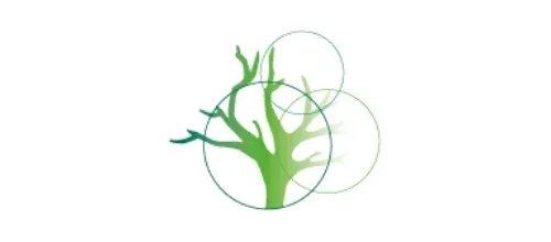 Formação e certificados — imagem 6 do site original
